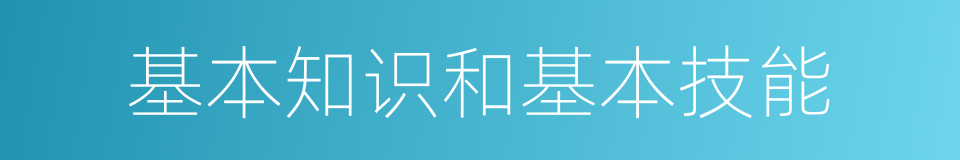 基本知识和基本技能的同义词