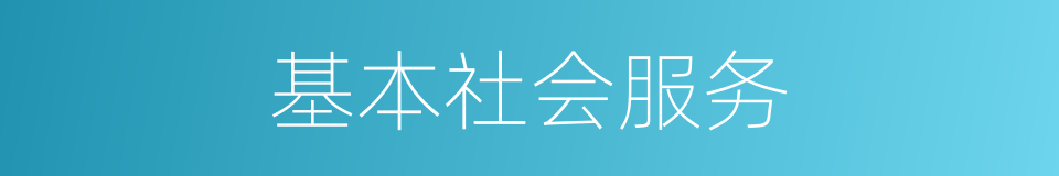 基本社会服务的同义词