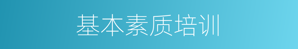 基本素质培训的同义词