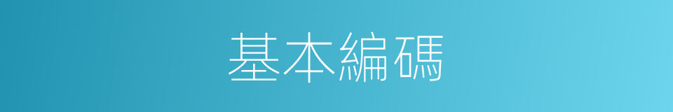 基本編碼的同義詞