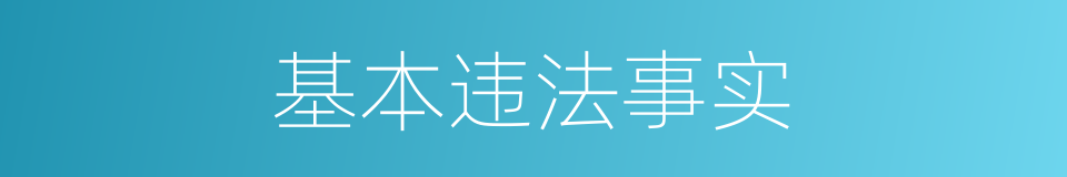 基本违法事实的同义词