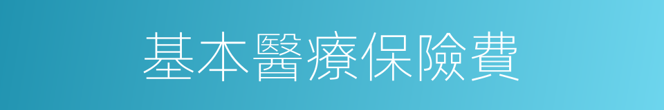 基本醫療保險費的同義詞