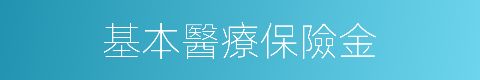 基本醫療保險金的同義詞