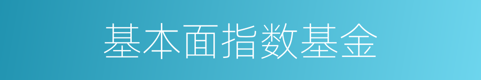 基本面指数基金的同义词