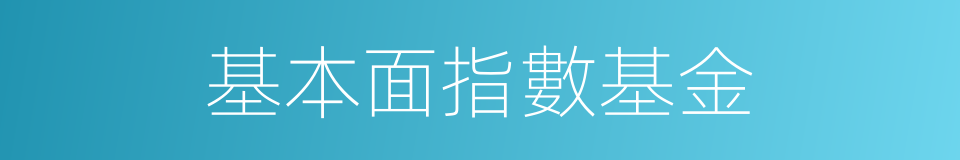 基本面指數基金的同義詞