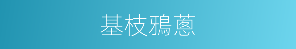 基枝鴉蔥的同義詞