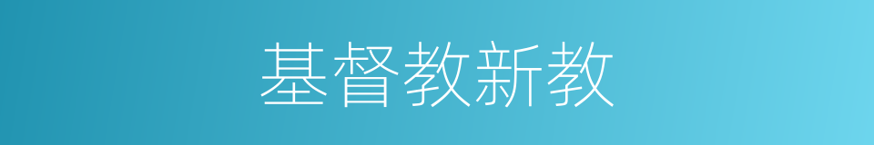 基督教新教的同义词