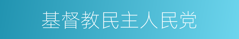 基督教民主人民党的同义词