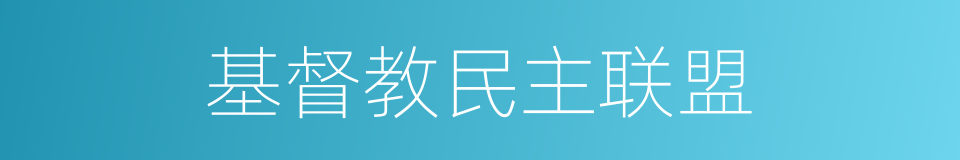 基督教民主联盟的同义词