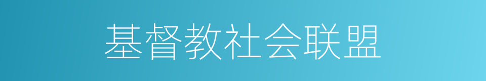 基督教社会联盟的同义词