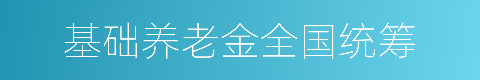 基础养老金全国统筹的同义词