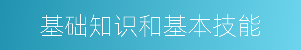 基础知识和基本技能的同义词