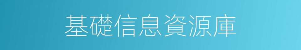 基礎信息資源庫的同義詞