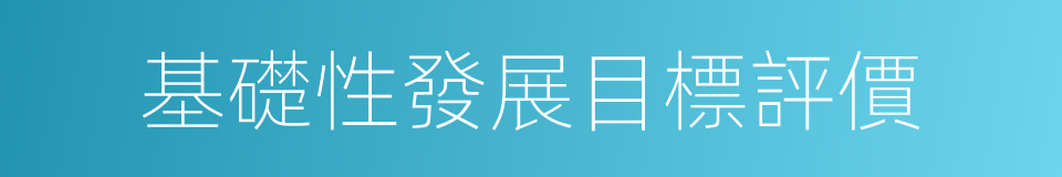 基礎性發展目標評價的同義詞