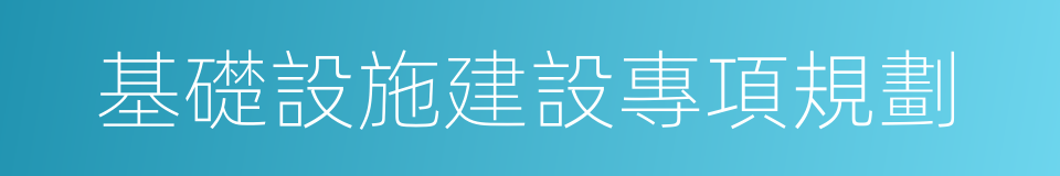 基礎設施建設專項規劃的同義詞