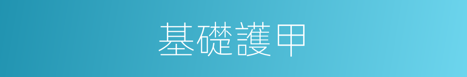 基礎護甲的同義詞