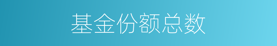 基金份额总数的同义词