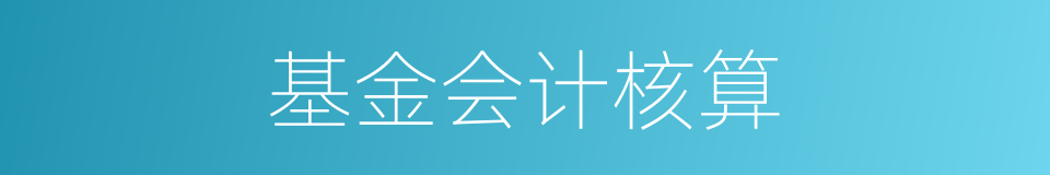 基金会计核算的同义词