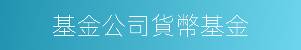 基金公司貨幣基金的同義詞