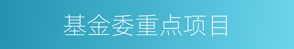 基金委重点项目的同义词