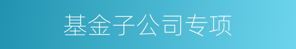 基金子公司专项的同义词