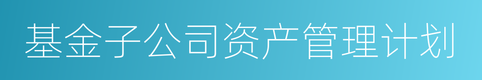 基金子公司资产管理计划的同义词