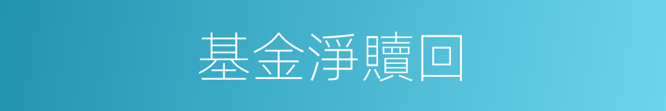 基金淨贖回的同義詞