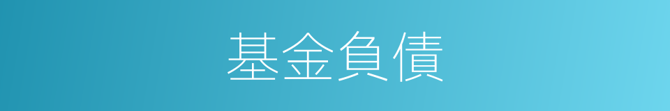 基金負債的同義詞