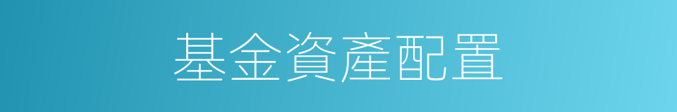 基金資產配置的同義詞