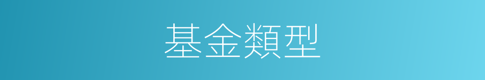 基金類型的同義詞