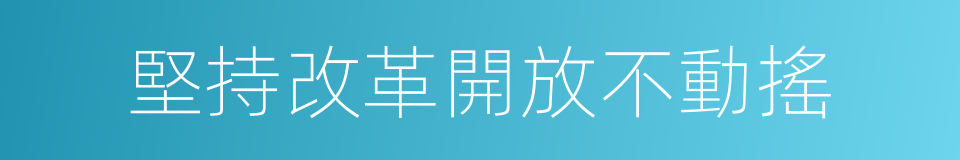 堅持改革開放不動搖的同義詞