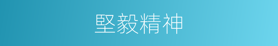 堅毅精神的同義詞