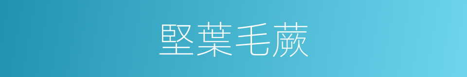 堅葉毛蕨的同義詞