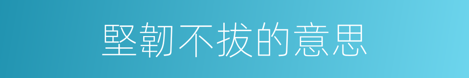 堅韌不拔的意思的同義詞