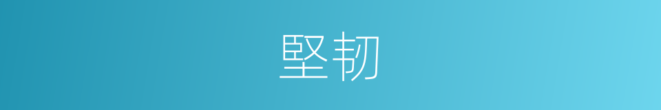 堅韧的意思