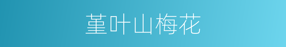堇叶山梅花的同义词