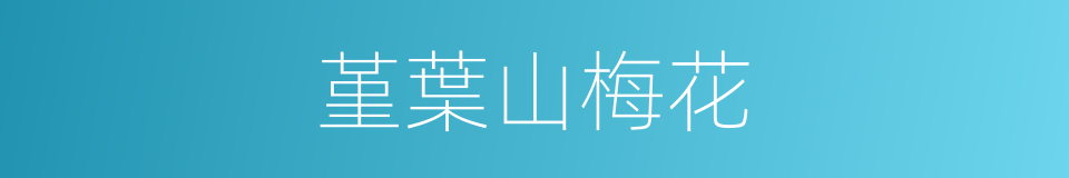 堇葉山梅花的同義詞