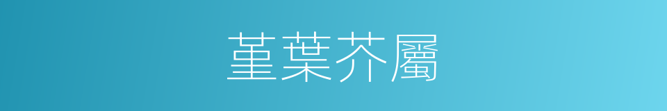 堇葉芥屬的同義詞