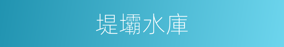 堤壩水庫的同義詞