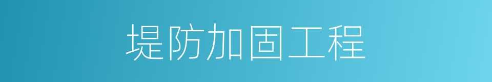 堤防加固工程的同义词
