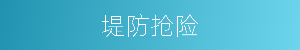 堤防抢险的同义词