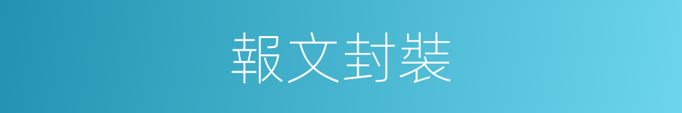 報文封裝的同義詞