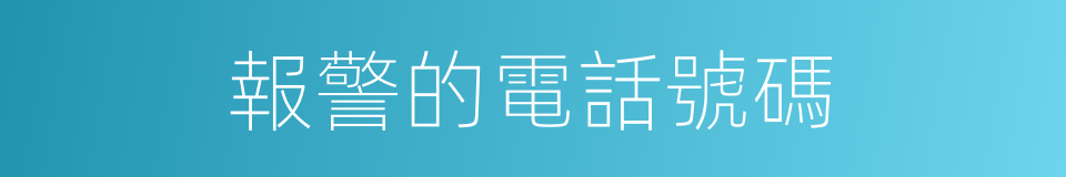 報警的電話號碼的同義詞