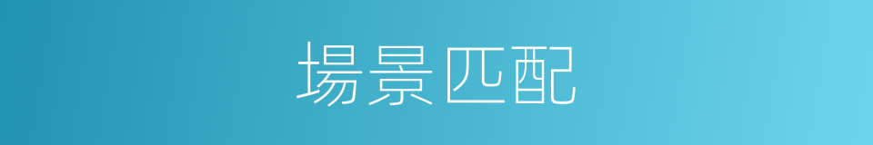 場景匹配的意思
