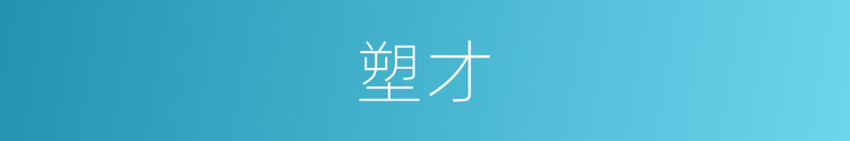 塑才的同义词