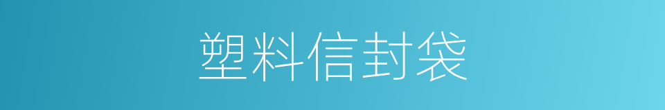 塑料信封袋的同义词