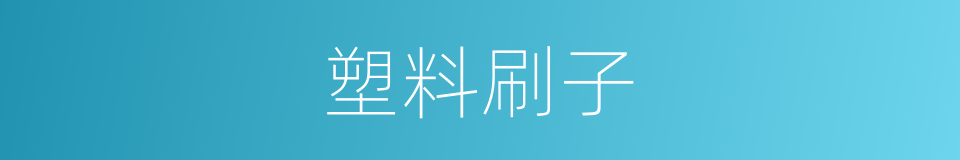 塑料刷子的同义词