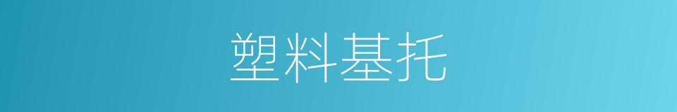 塑料基托的同义词