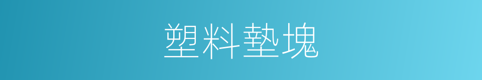 塑料墊塊的同義詞