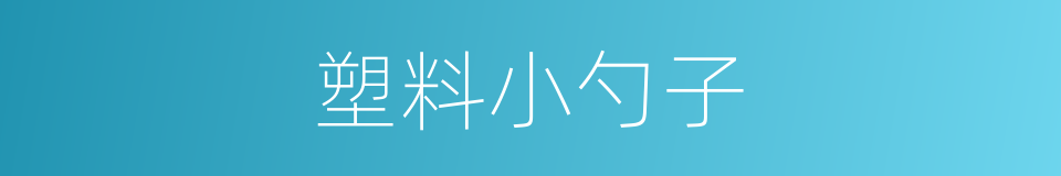 塑料小勺子的同义词